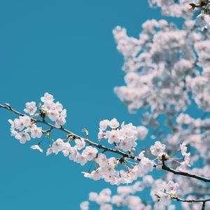 江疏影做爰高潮全过程
